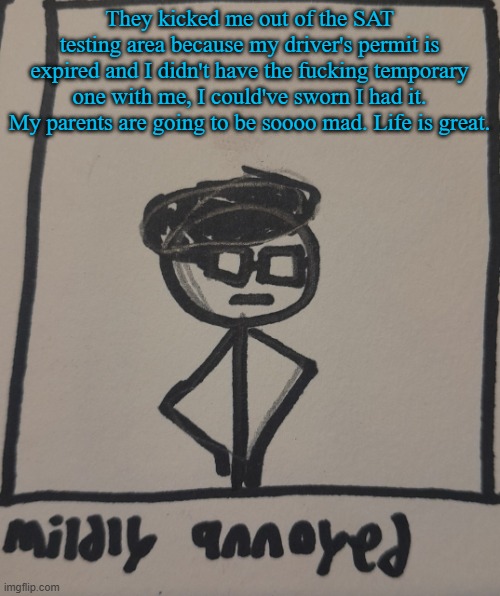 I'm using this temp a lot lately | They kicked me out of the SAT testing area because my driver's permit is expired and I didn't have the fucking temporary one with me, I could've sworn I had it. My parents are going to be soooo mad. Life is great. | image tagged in mildly annoyed | made w/ Imgflip meme maker