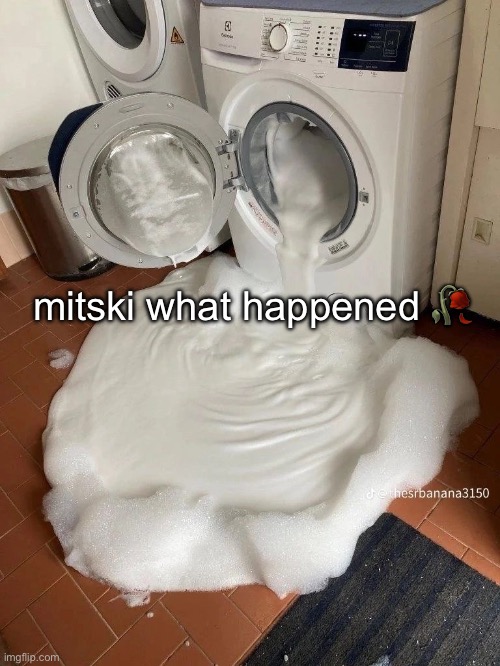 mitski what happened 🥀 | made w/ Imgflip meme maker