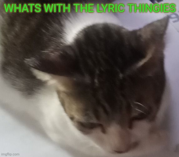 Ming mong | WHATS WITH THE LYRIC THINGIES | image tagged in ming mong | made w/ Imgflip meme maker