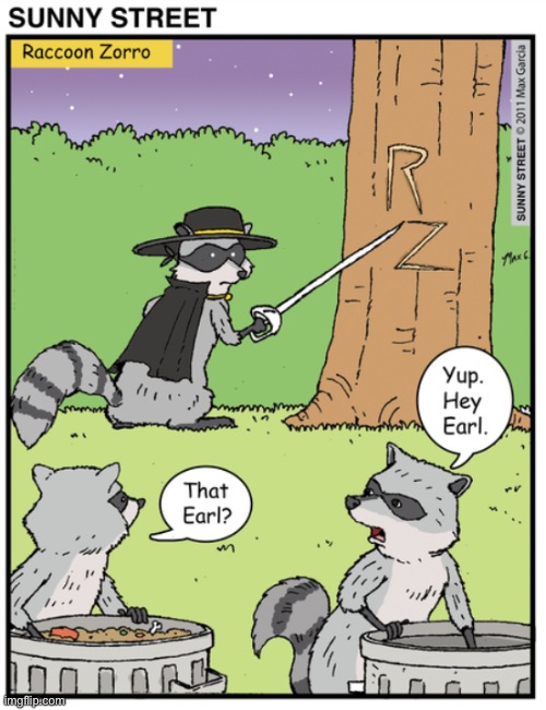 image tagged in comics,sunny street,raccoons,zorro,z | made w/ Imgflip meme maker