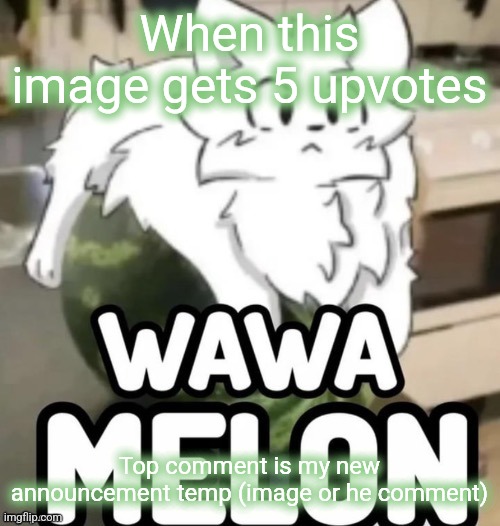 The Wawa Melon | When this image gets 5 upvotes; Top comment is my new announcement temp (image or he comment) | image tagged in the wawa melon | made w/ Imgflip meme maker