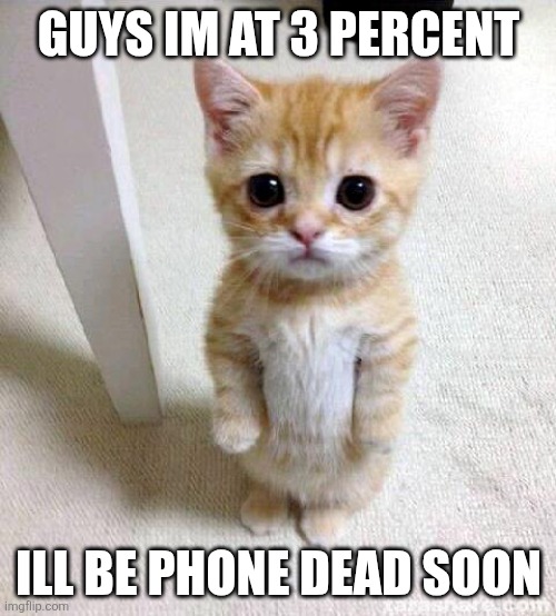 Cute Cat | GUYS IM AT 3 PERCENT; ILL BE PHONE DEAD SOON | image tagged in memes,cute cat | made w/ Imgflip meme maker