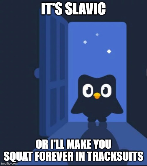 Duolingo bird | IT'S SLAVIC; OR I'LL MAKE YOU SQUAT FOREVER IN TRACKSUITS | image tagged in duolingo bird,slavic lives matter | made w/ Imgflip meme maker