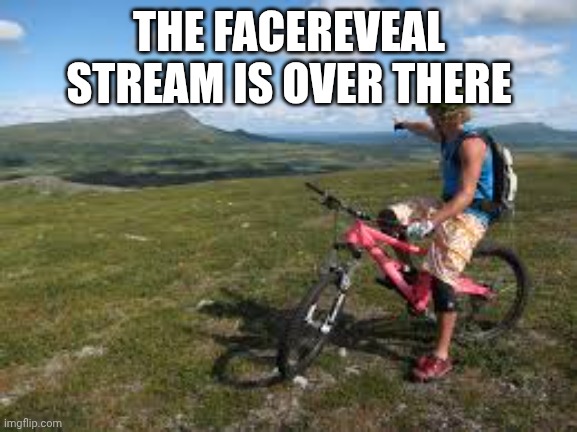 Way over there | THE FACEREVEAL STREAM IS OVER THERE | image tagged in way over there | made w/ Imgflip meme maker