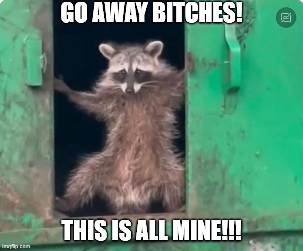 Go away bitches!  This is all mine - Raccoon kingdom | GO AWAY BITCHES! THIS IS ALL MINE!!! | image tagged in trash raccoon,reaction,funny,humor,animals,cute | made w/ Imgflip meme maker
