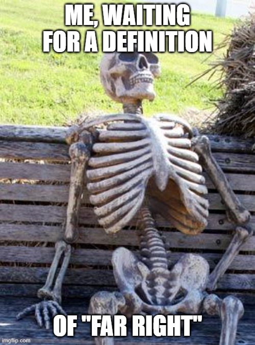 Waiting Skeleton | ME, WAITING FOR A DEFINITION; OF "FAR RIGHT" | image tagged in memes,waiting skeleton | made w/ Imgflip meme maker