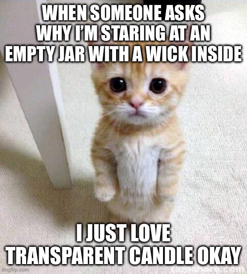 Fact | WHEN SOMEONE ASKS WHY I’M STARING AT AN EMPTY JAR WITH A WICK INSIDE; I JUST LOVE TRANSPARENT CANDLE OKAY | image tagged in memes,cute cat | made w/ Imgflip meme maker