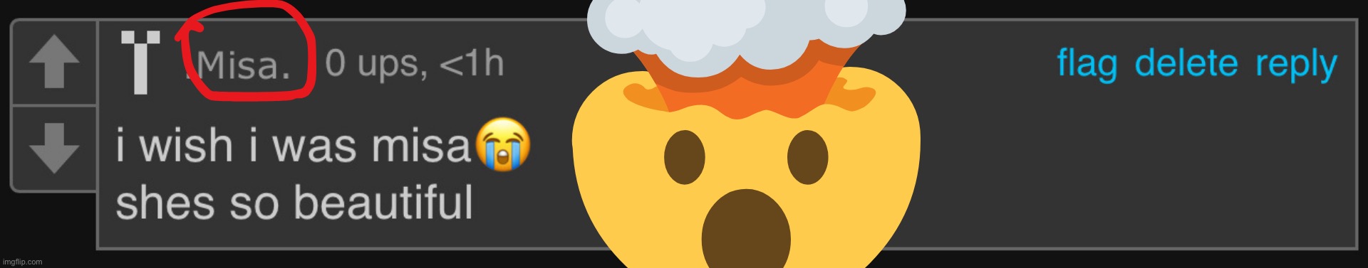 idk why the emoji looks like that | made w/ Imgflip meme maker