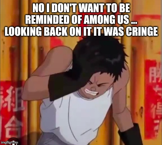 Akria | NO I DON'T WANT TO BE REMINDED OF AMONG US ... LOOKING BACK ON IT IT WAS CRINGE | image tagged in akria | made w/ Imgflip meme maker