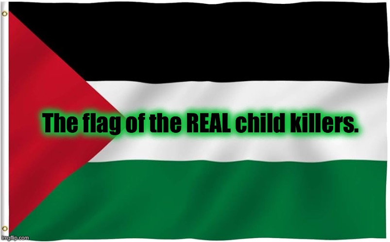 Palestinian Flag | The flag of the REAL child killers. | image tagged in palestinian flag | made w/ Imgflip meme maker