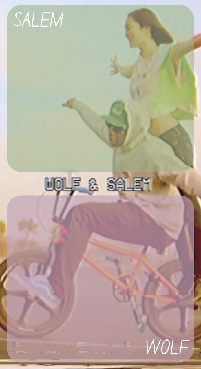 High Quality wolf n salem - foxed and moons #3 Blank Meme Template