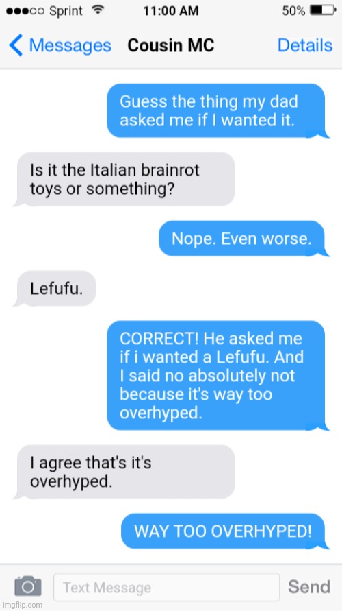 William texting his cousin because his dad asked him if he wanted a Lefufu | image tagged in lefufu,overhyped,sms,mc,william | made w/ Imgflip meme maker