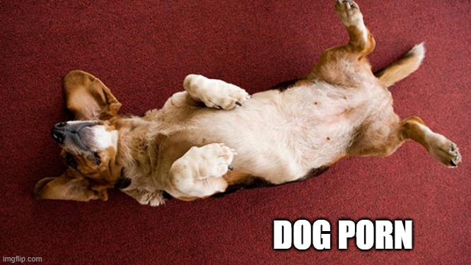 DOG PORN | made w/ Imgflip meme maker