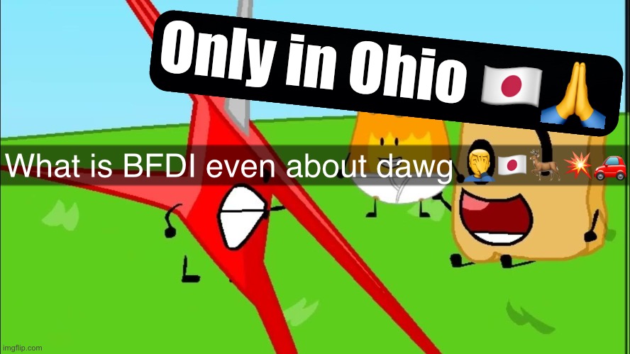Only in Ohio 🇯🇵🙏; What is BFDI even about dawg 🤦‍♂️🇯🇵🦌💥🚗 | made w/ Imgflip meme maker