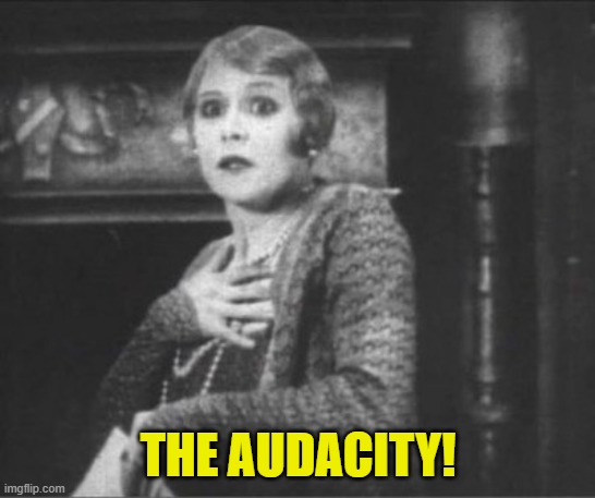 Clutching Pearls | THE AUDACITY! | image tagged in clutching pearls | made w/ Imgflip meme maker