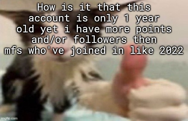 ​ | How is it that this account is only 1 year old yet i have more points and/or followers then mfs who've joined in like 2022 | image tagged in soggy cat thumbs up | made w/ Imgflip meme maker