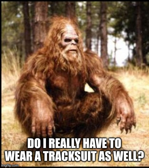 sasquatch squat | DO I REALLY HAVE TO WEAR A TRACKSUIT AS WELL? | image tagged in sasquatch squat | made w/ Imgflip meme maker