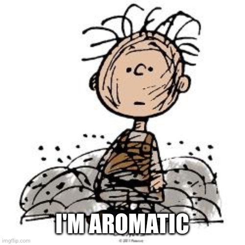 Pigpen | I'M AROMATIC | image tagged in pigpen | made w/ Imgflip meme maker