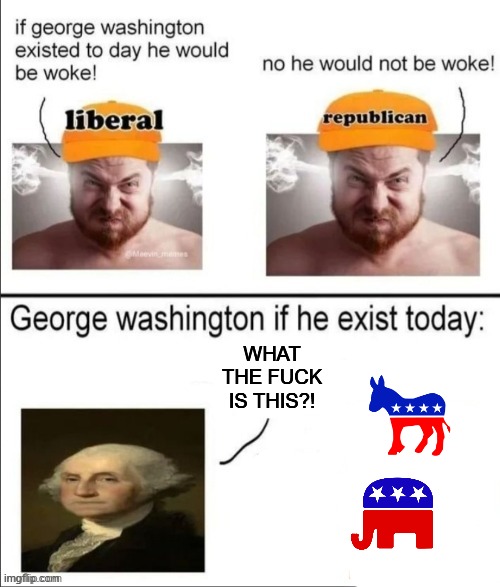 George Washington didn't want Political Parties | WHAT THE FUCK IS THIS?! | image tagged in george washington if he existed today,history | made w/ Imgflip meme maker