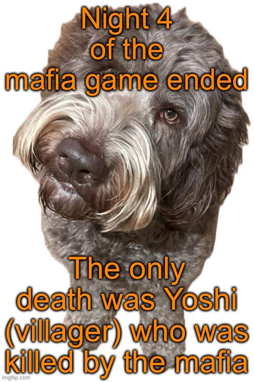 Norther's dog | Night 4 of the mafia game ended; The only death was Yoshi (villager) who was killed by the mafia | image tagged in norther's dog | made w/ Imgflip meme maker