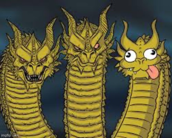 Three Dragon Heads | image tagged in three dragon heads | made w/ Imgflip meme maker