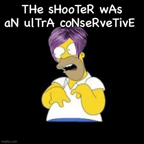 Libs tried. | THe sHooTeR wAs aN ulTrA coNseRveTivE | image tagged in look marge,politics lol,memes,liberal logic,wrong | made w/ Imgflip meme maker