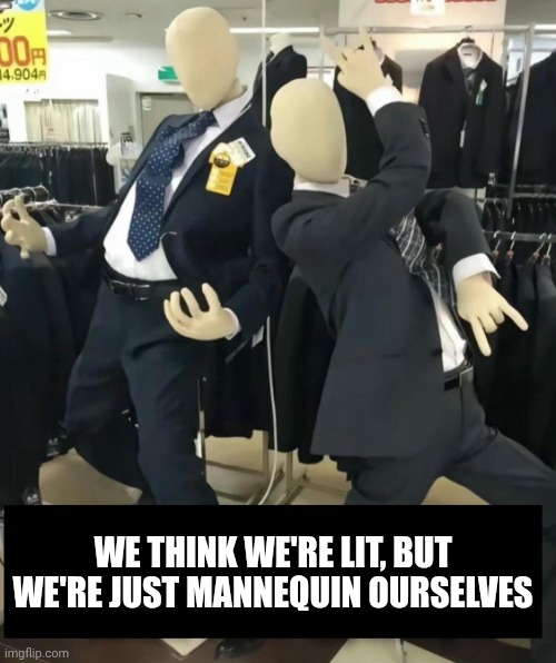 We're Just Mannequins | WE THINK WE'RE LIT, BUT WE'RE JUST MANNEQUIN OURSELVES | image tagged in crazy mannequins | made w/ Imgflip meme maker