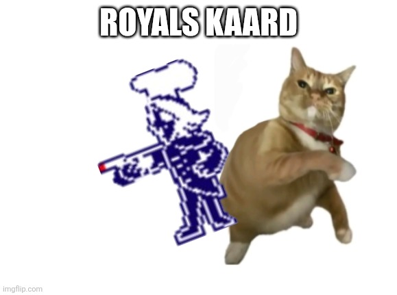 . | ROUXLS KAARD | image tagged in throwing cat new | made w/ Imgflip meme maker