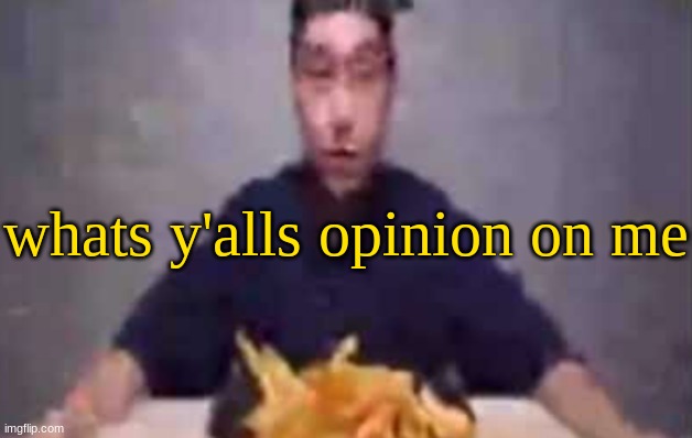 ​ | whats y'alls opinion on me | image tagged in are these fries | made w/ Imgflip meme maker