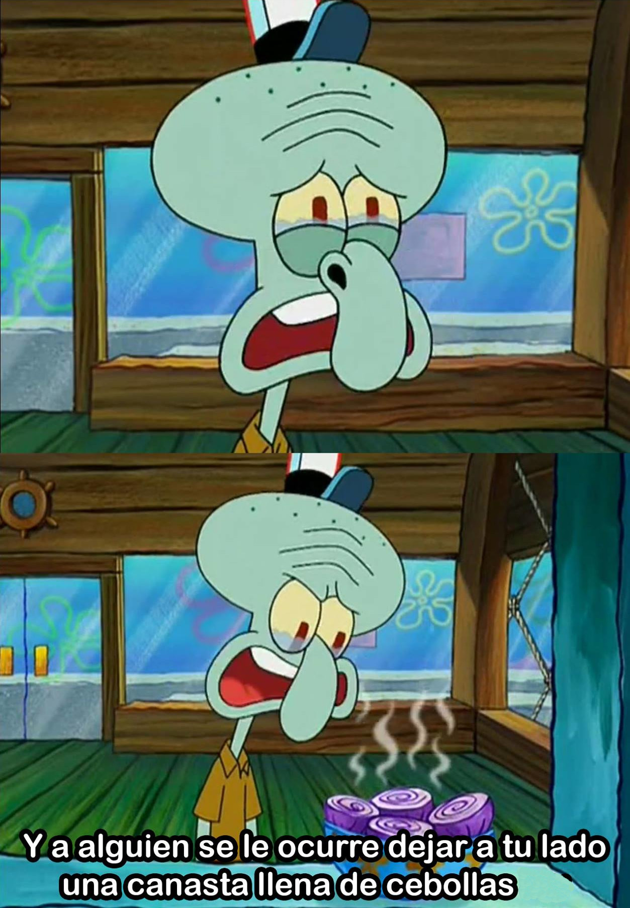 calamardo llorando cebollas Blank Meme Template