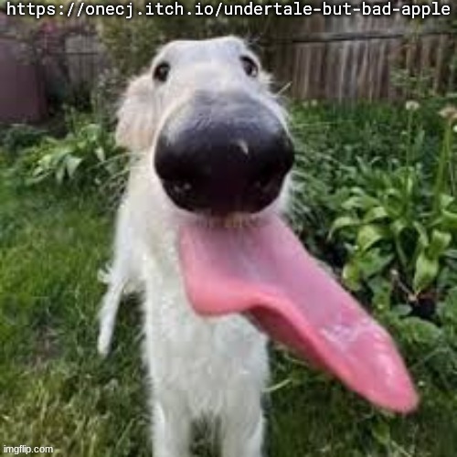 dog | https://onecj.itch.io/undertale-but-bad-apple | image tagged in dog | made w/ Imgflip meme maker