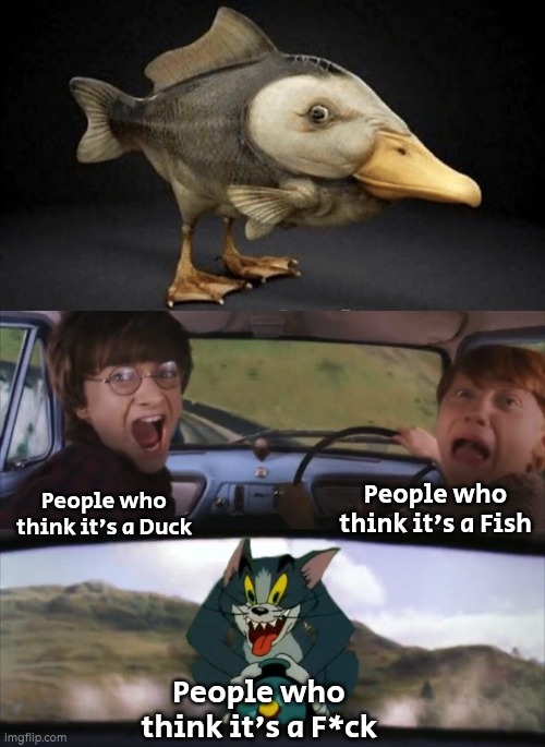 What do you guys think about this "animal"? | People who think it's a Fish; People who think it's a Duck; People who think it's a F*ck | image tagged in tom chasing harry and ron weasly,fish,duck | made w/ Imgflip meme maker