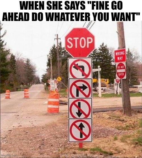 When She Says Fine Go Ahead Do Whatever You Want | WHEN SHE SAYS "FINE GO AHEAD DO WHATEVER YOU WANT" | image tagged in chrisjoines1 | made w/ Imgflip meme maker