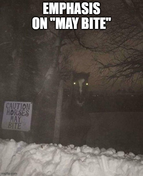 Cursed Horse | EMPHASIS ON "MAY BITE" | image tagged in cursed image | made w/ Imgflip meme maker