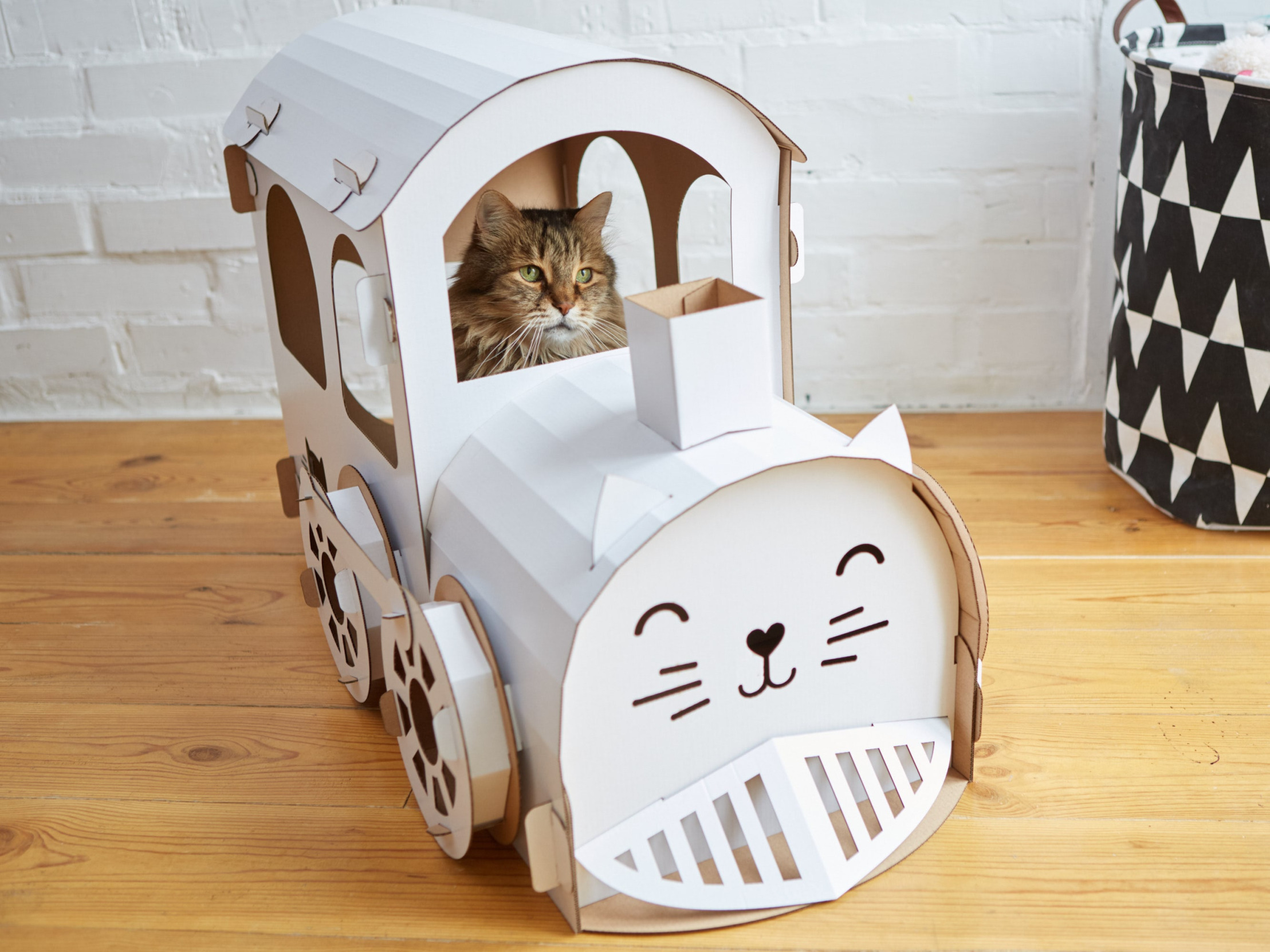 cat train Blank Meme Template