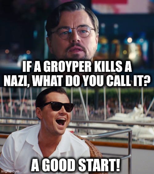 Groyper vs. Nazi | IF A GROYPER KILLS A NAZI, WHAT DO YOU CALL IT? A GOOD START! | image tagged in two frame leo vertical stack | made w/ Imgflip meme maker