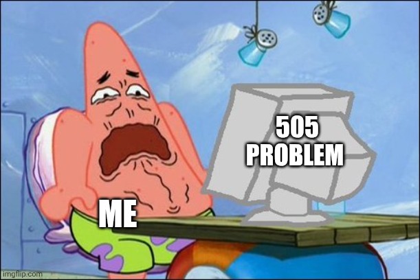Patrick Star cringing | 505 PROBLEM ME | image tagged in patrick star cringing | made w/ Imgflip meme maker