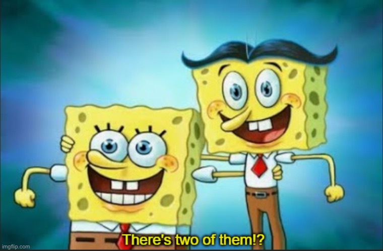 There’s 2 of them!? | image tagged in there s 2 of them | made w/ Imgflip meme maker