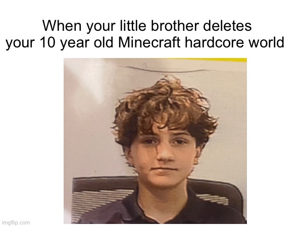 When your little brother deletes your 10 year old Minecraft hardcore world | made w/ Imgflip meme maker