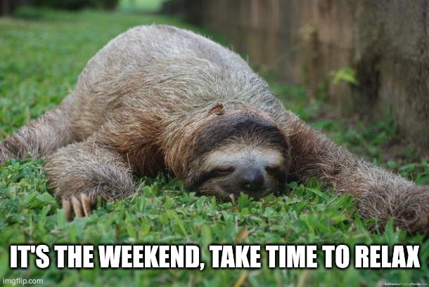It's the weekend, take time to relax. | IT'S THE WEEKEND, TAKE TIME TO RELAX | image tagged in sleeping sloth,relax,time out,chill | made w/ Imgflip meme maker