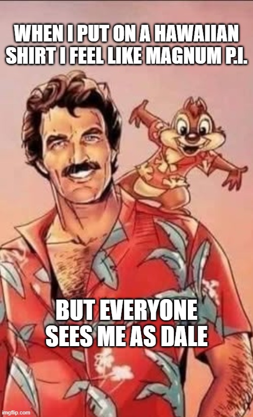 #chip and dale | WHEN I PUT ON A HAWAIIAN SHIRT I FEEL LIKE MAGNUM P.I. BUT EVERYONE SEES ME AS DALE | image tagged in memes | made w/ Imgflip meme maker