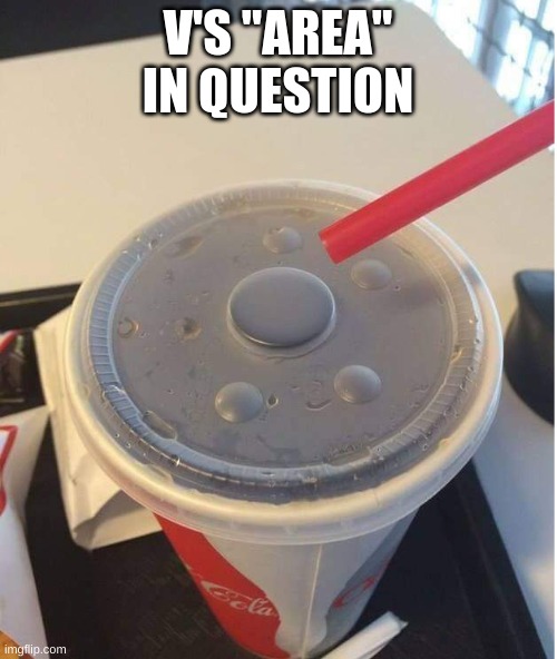 V'S "AREA" IN QUESTION | image tagged in no hole | made w/ Imgflip meme maker