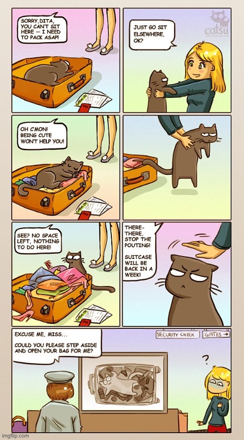 Catsu | image tagged in cats,comics,catsu,suitcase,stowaway | made w/ Imgflip meme maker