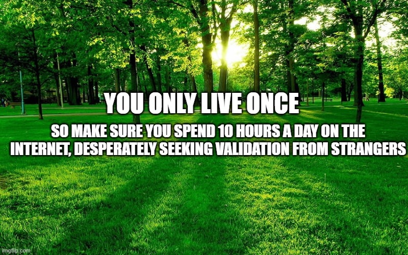 Green Forest | YOU ONLY LIVE ONCE; SO MAKE SURE YOU SPEND 10 HOURS A DAY ON THE INTERNET, DESPERATELY SEEKING VALIDATION FROM STRANGERS | image tagged in green forest | made w/ Imgflip meme maker