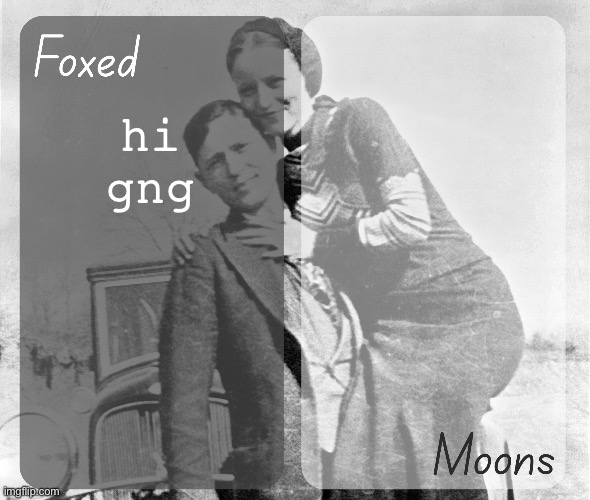 Foxed n Moons - Bonnie and Clyde temp | hi gng | image tagged in foxed n moons - bonnie and clyde temp | made w/ Imgflip meme maker