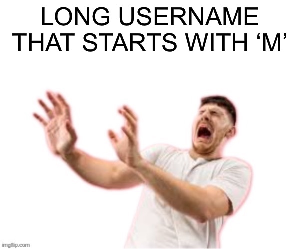 m | LONG USERNAME THAT STARTS WITH ‘M’ | image tagged in he left all caps on custom | made w/ Imgflip meme maker