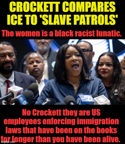 CROCKETT COMPARES ICE TO 'SLAVE PATROLS'; The women is a black racist lunatic. No Crockett they are US employees enforcing immigration laws that have been on the books for longer than you have been alive. | made w/ Imgflip meme maker