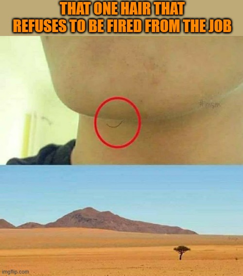 that moment! | THAT ONE HAIR THAT REFUSES TO BE FIRED FROM THE JOB | image tagged in memes | made w/ Imgflip meme maker