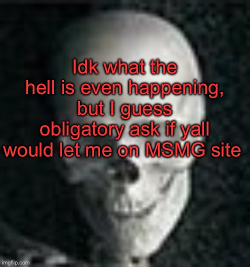 I come online every 9 hours and am confused by what’s going on every time XD | Idk what the hell is even happening, but I guess obligatory ask if yall would let me on MSMG site | image tagged in skull | made w/ Imgflip meme maker