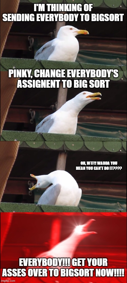 BIGSORT | I'M THINKING OF SENDING EVERYBODY TO BIGSORT; PINKY, CHANGE EVERYBODY'S ASSIGNENT TO BIG SORT; OH, WTF!! WADDA YOU MEAN YOU CAN'T DO IT???? EVERYBODY!!! GET YOUR ASSES OVER TO BIGSORT NOW!!!! | image tagged in memes,inhaling seagull | made w/ Imgflip meme maker